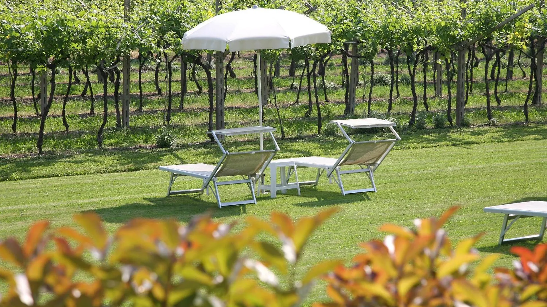 La Zerla Bed & Breakfast Bardolino