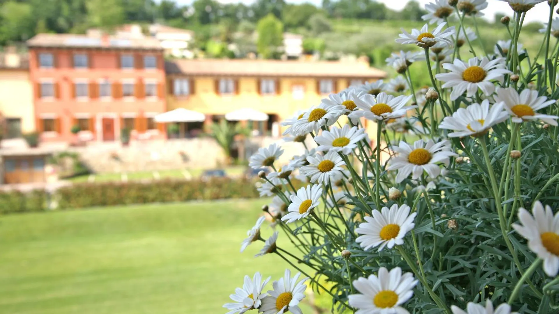 Bed and Breakfast La Zerla Bardolino 3*,  Italia